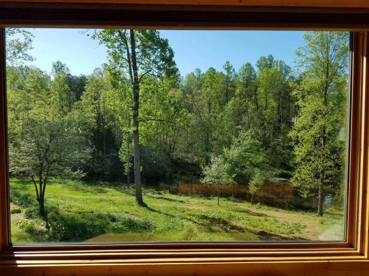 Pondview house at White Lotus Eco Spa Retreat, Stanardsville, VA — photo 3 of 40