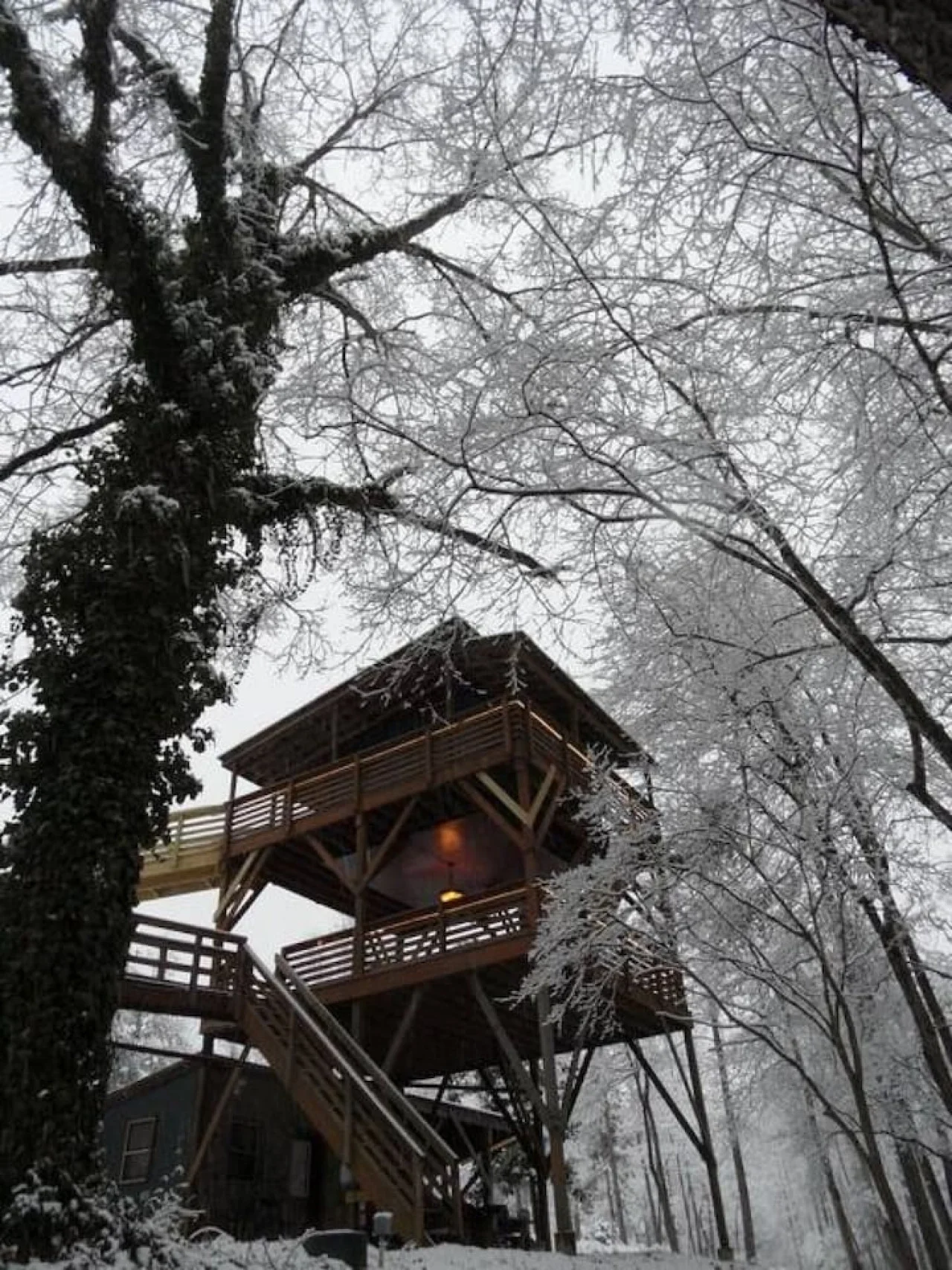 Tree House treehouse at White Lotus Eco Spa Retreat, Stanardsville, VA — photo 22 of 53