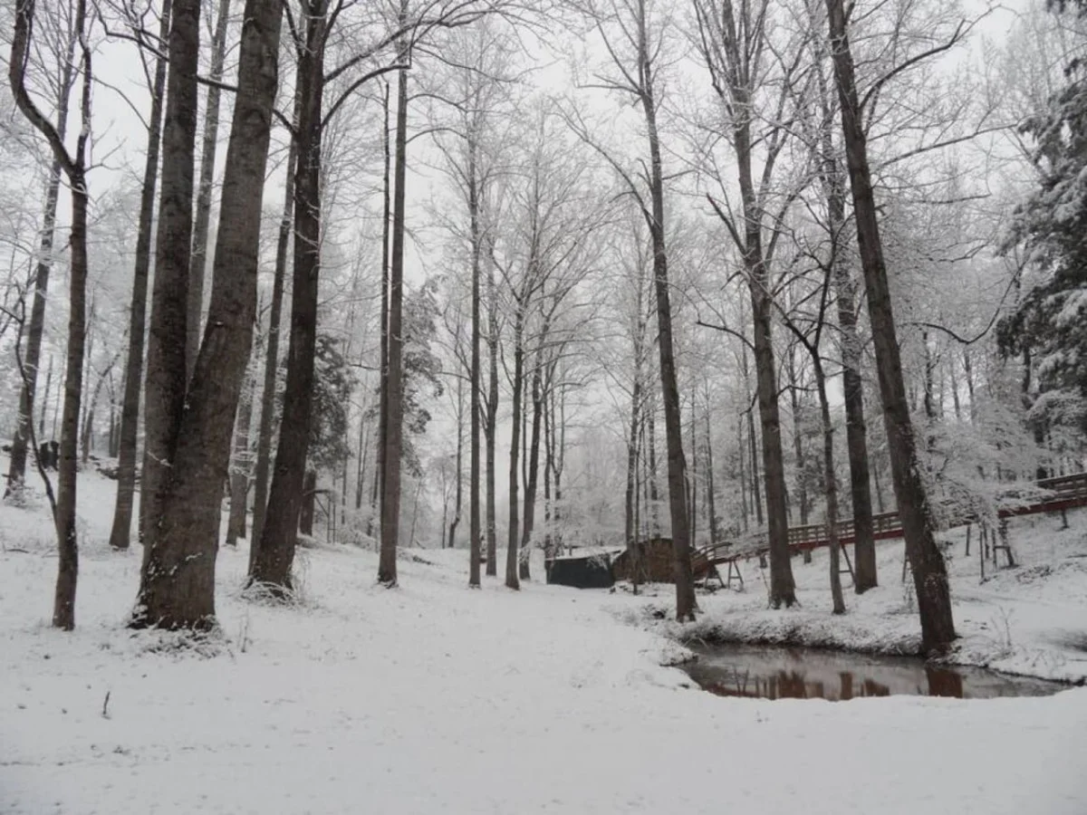 Tree House treehouse at White Lotus Eco Spa Retreat, Stanardsville, VA — photo 29 of 53