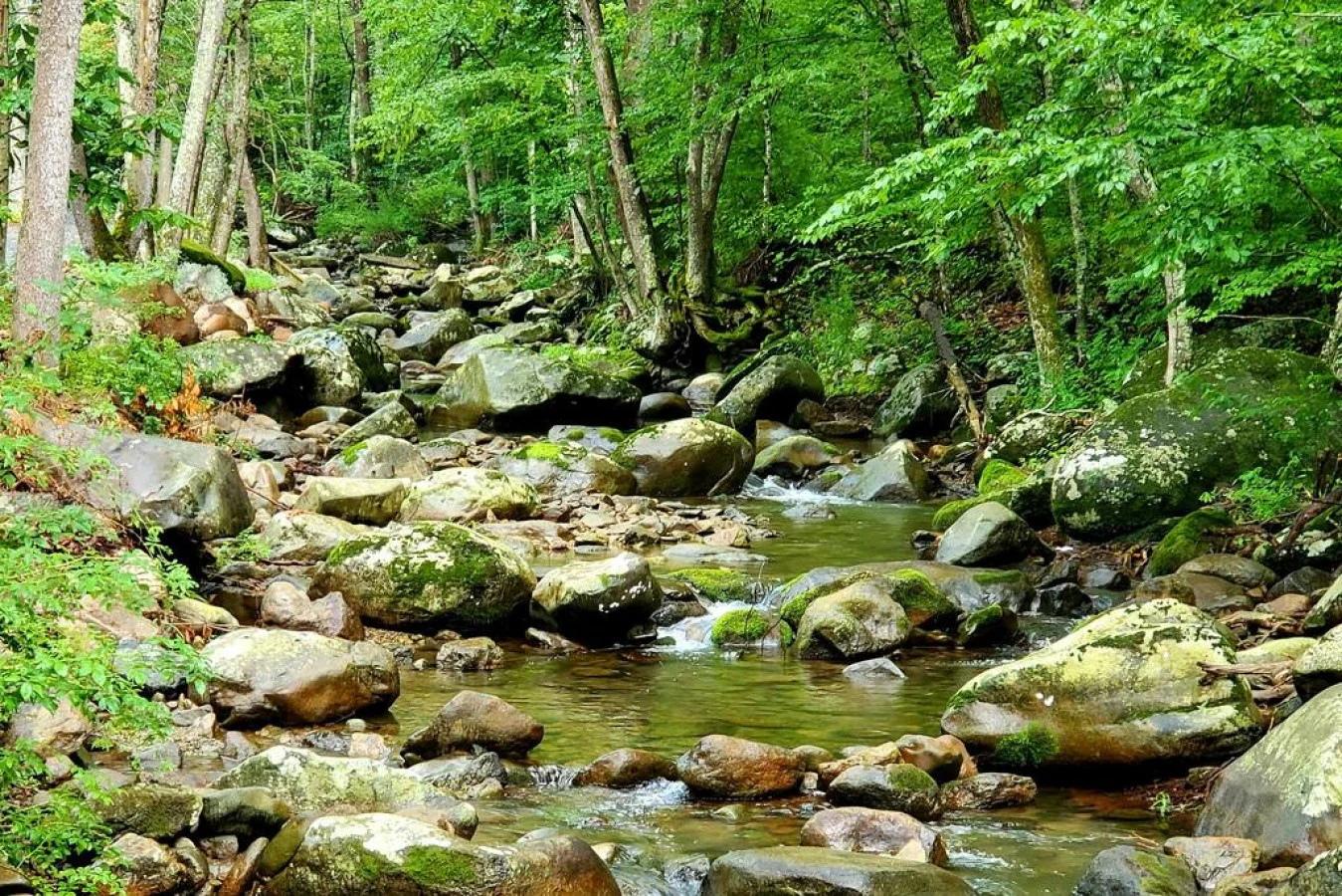 Zen River Retreat house at White Lotus Eco Spa Retreat, Stanardsville, VA — photo 33 of 40
