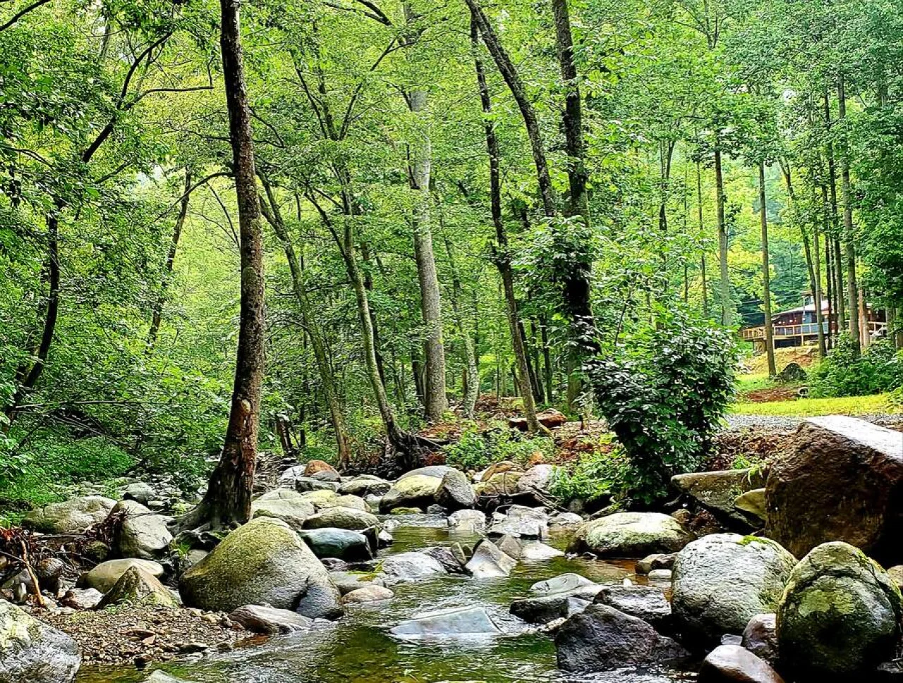 Zen River Retreat house at White Lotus Eco Spa Retreat, Stanardsville, VA — photo 32 of 40