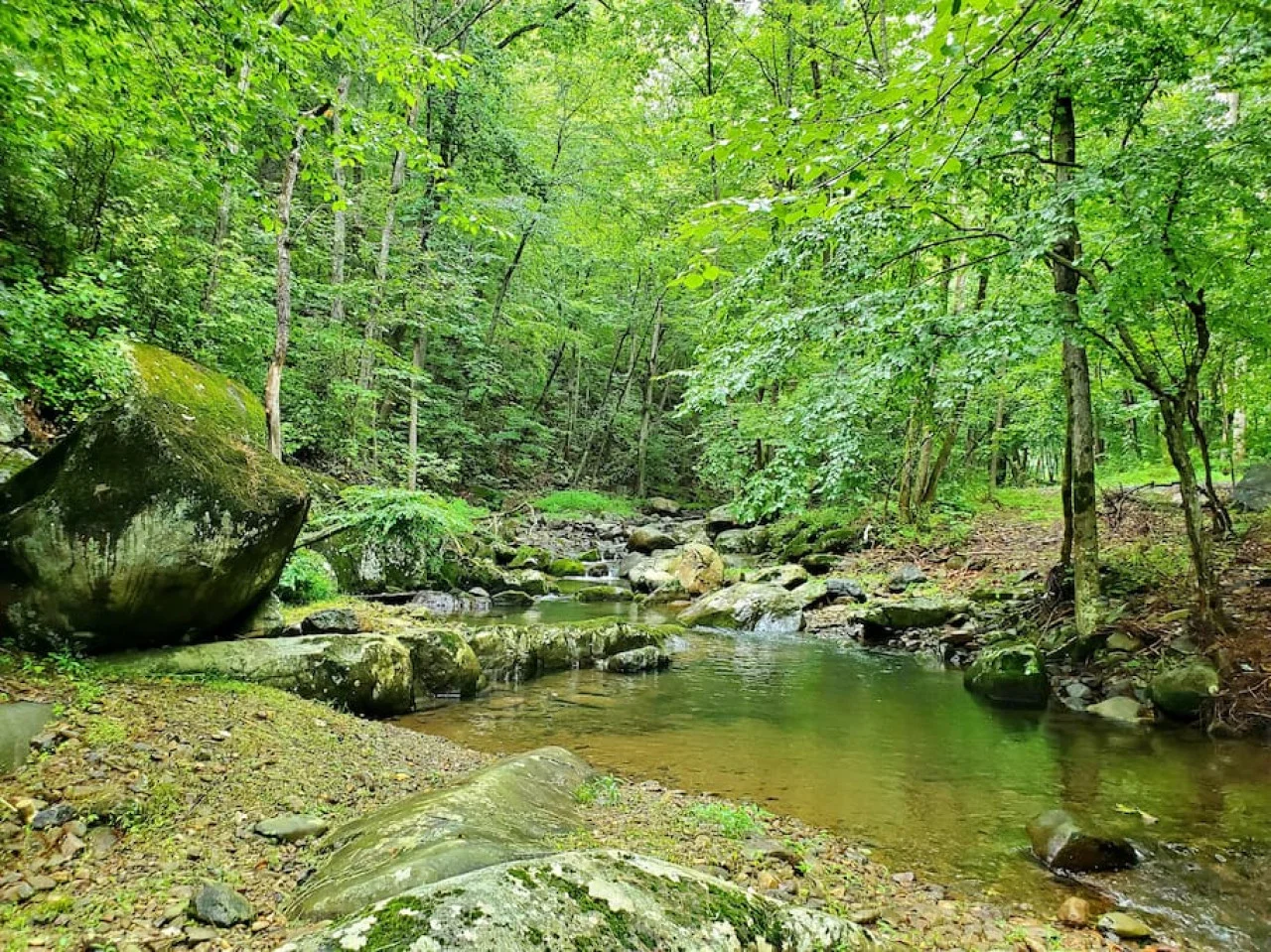 Zen River Retreat house at White Lotus Eco Spa Retreat, Stanardsville, VA — photo 34 of 40