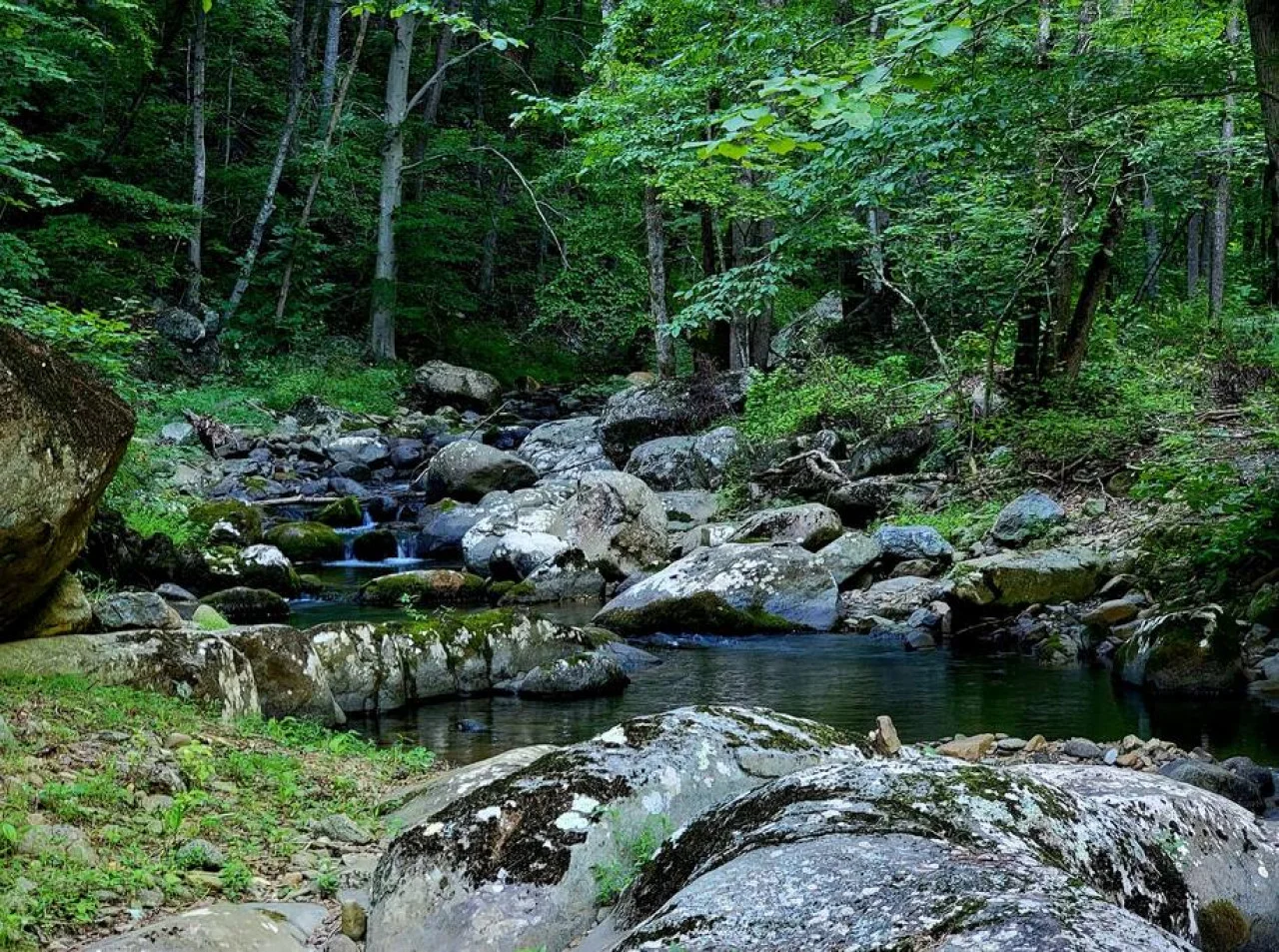 Zen River Retreat house at White Lotus Eco Spa Retreat, Stanardsville, VA — photo 40 of 40