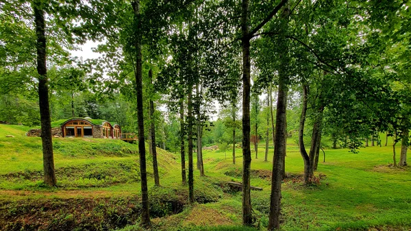 The Hobbit House earth house at White Lotus Eco Spa Retreat, Stanardsville, VA — photo 25 of 38