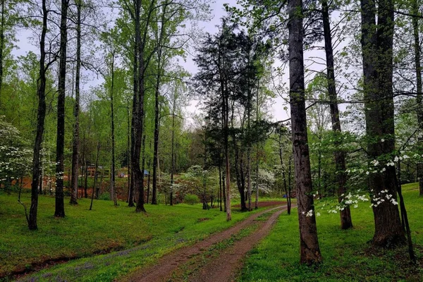 The Hobbit House earth house at White Lotus Eco Spa Retreat, Stanardsville, VA — photo 27 of 38