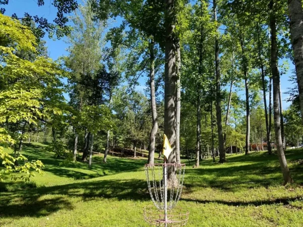 Tree House treehouse at White Lotus Eco Spa Retreat, Stanardsville, VA — photo 43 of 53