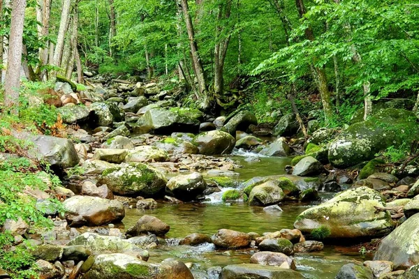 Zen River Retreat house at White Lotus Eco Spa Retreat, Stanardsville, VA — thumbnail 33 of 40