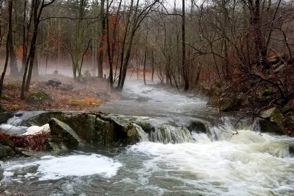 Zen River Retreat house at White Lotus Eco Spa Retreat, Stanardsville, VA — thumbnail 6 of 40