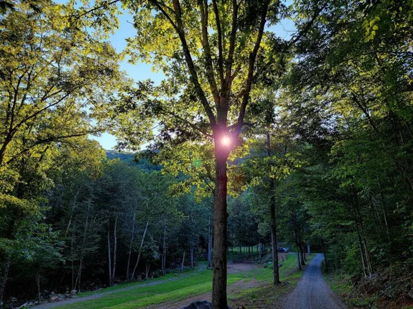 Zen River Retreat house at White Lotus Eco Spa Retreat, Stanardsville, VA — thumbnail 39 of 40