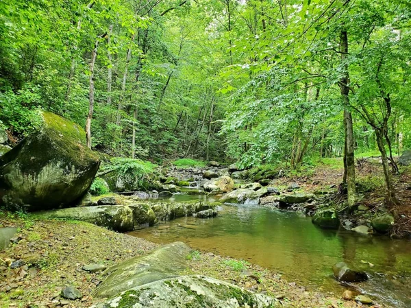 Zen River Retreat house at White Lotus Eco Spa Retreat, Stanardsville, VA — thumbnail 34 of 40