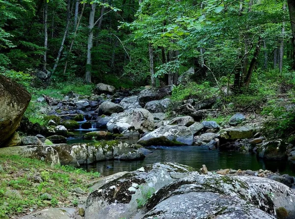 Zen River Retreat house at White Lotus Eco Spa Retreat, Stanardsville, VA — thumbnail 40 of 40
